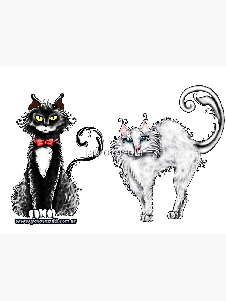 "Black and white cats" Poster for Sale by porotazuki Redbubble