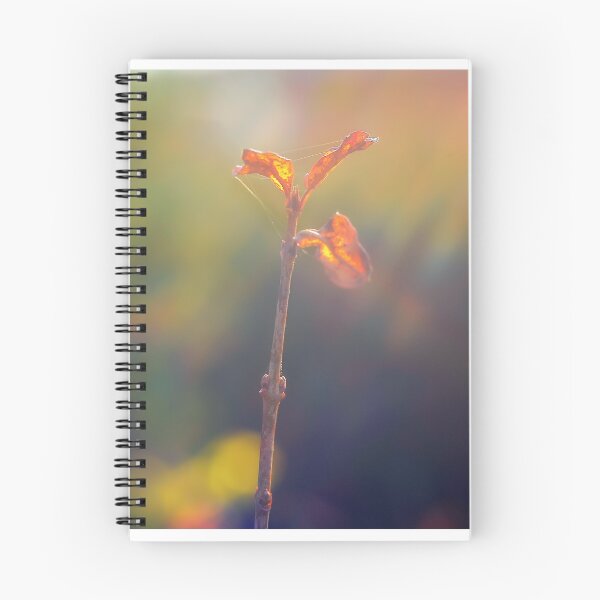 Item preview, Sunset Flower designed and sold by Martin  Slotta.