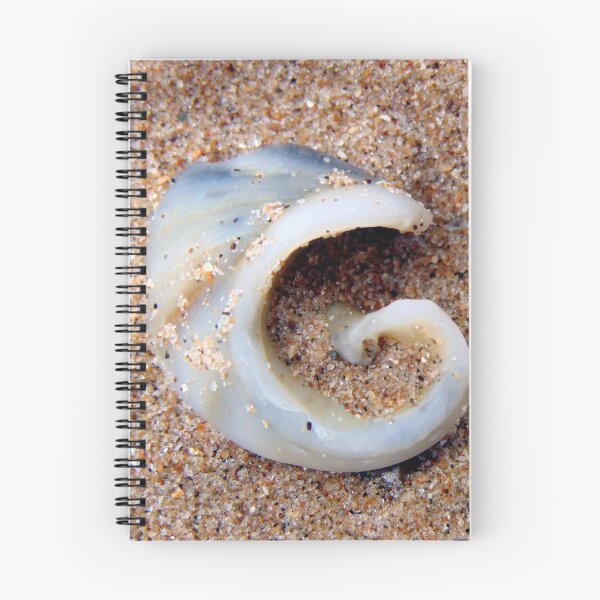 Item preview, shell designed and sold by KathleenDawson.