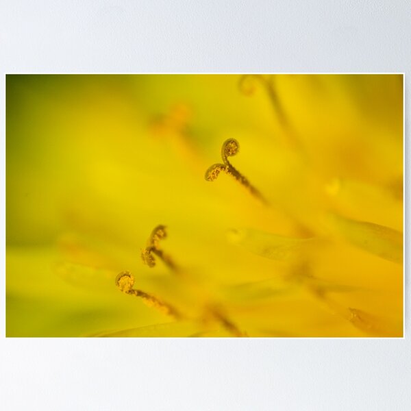 Item preview, Macro Flower - Blütenstaub designed and sold by Martin  Slotta.