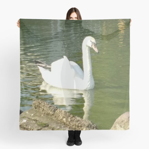 Merch #49 -- Swan - Shot 7 (Pearson Park) Scarf