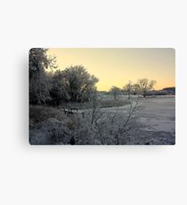 Town Lake - Frozen Canvas Print