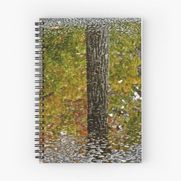 Item preview, Tree Trunk Water Reflection designed and sold by Lien  Titus.