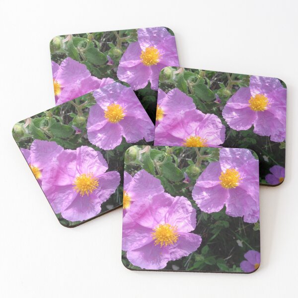 Item preview, Wild Mountain Cistus designed and sold by aeolia.