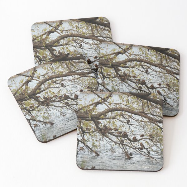 Item preview, Tree Full of Mandarin Ducks designed and sold by Mike Ashley.