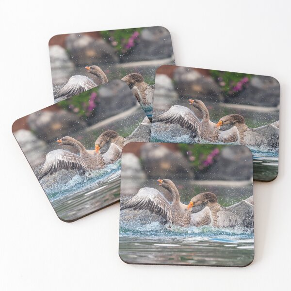 Item preview, Nesting Season designed and sold by Peter Hocking.