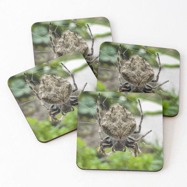 Item preview, The Broken Web designed and sold by PictureNZ.