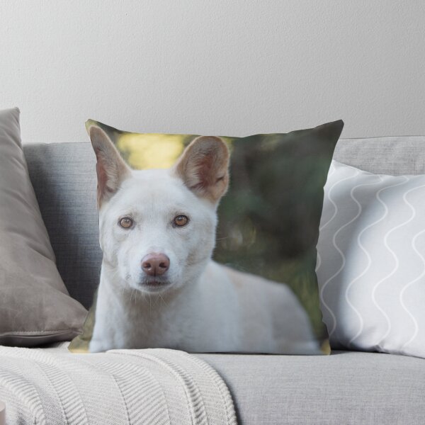 Item preview, Dingo designed and sold by Jennie Gardiner.