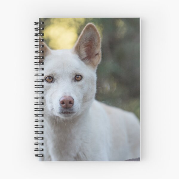 Item preview, Dingo designed and sold by Jennie Gardiner.
