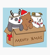 We Bare Bears Xmas Photographic Print