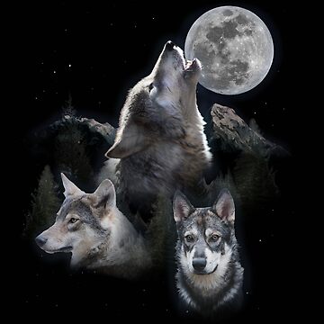 Wolf howls at the moon and ravens' Men's Sport T-Shirt