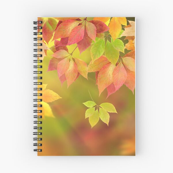 Aperçu de l'œuvre autumn leaves against the sunset créée et vendue par Orderposter.