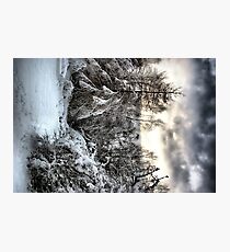 Narnia Photographic Print