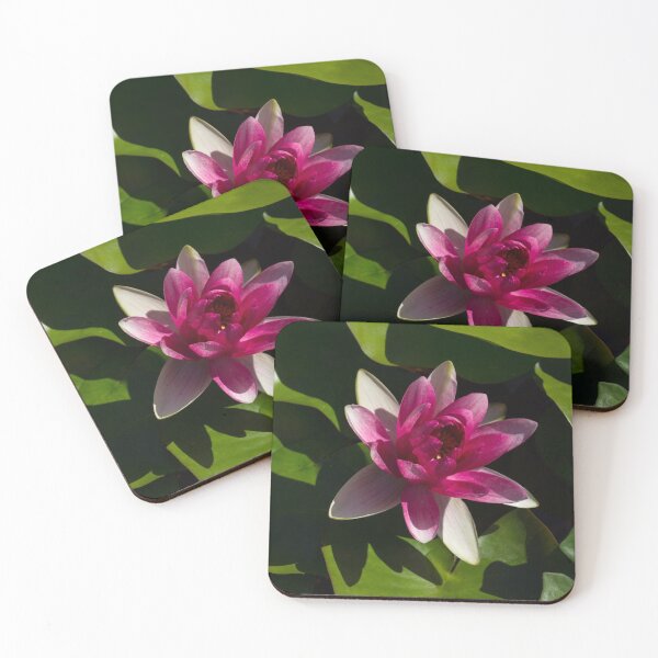 Item preview, Revealing Secrets - Varicolored Waterlily with Fandango Pink Centre designed and sold by Georgia Mizuleva.