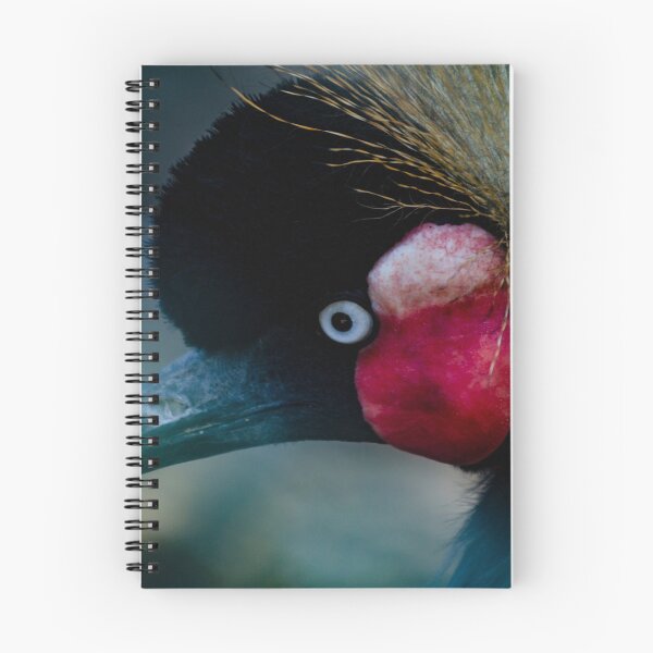 Item preview, crowned crane designed and sold by Danilagreca.