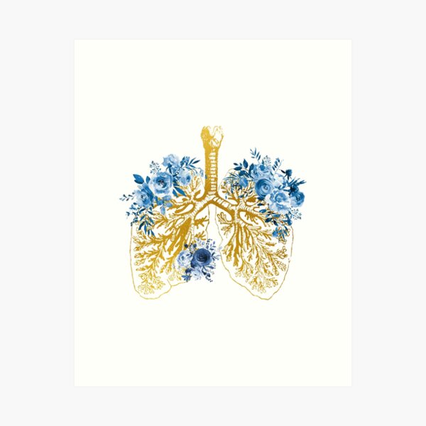 Item preview, Anatomical Lungs designed and sold by Liededrom..