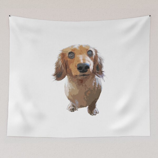 Item preview, Adorable Long Haired Dachshund designed and sold by SmartPooch.