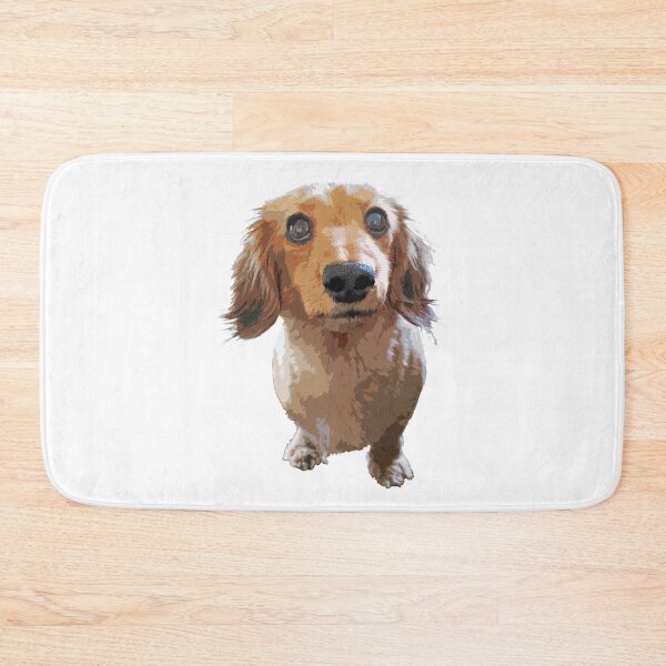 Item preview, Adorable Long Haired Dachshund designed and sold by SmartPooch.