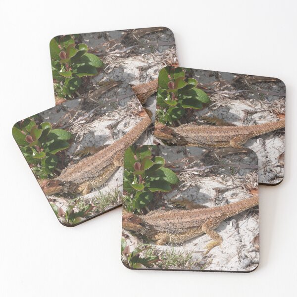 Item preview, Beautfiul Bearded Dragon! Semaphore Beach, Spencer Gulf, Adelaide Coastline. designed and sold by RitaBlom.