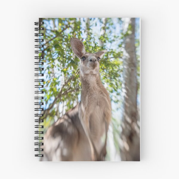 Item preview, Kangaroo designed and sold by Jennie Gardiner.