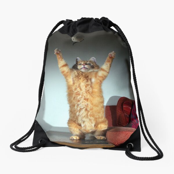 Playful cat Drawstring Bag