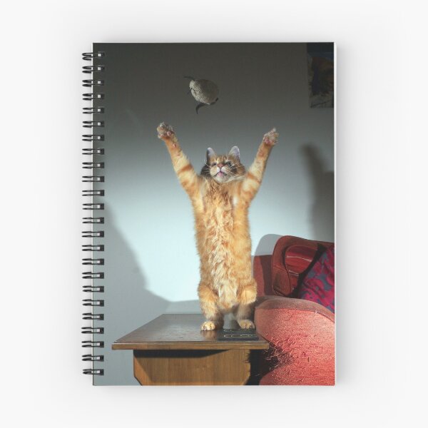 Item preview, Playful cat designed and sold by turniptowers.