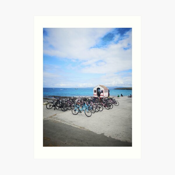 Inis Oirr, Aran Islands, Ireland Art Print