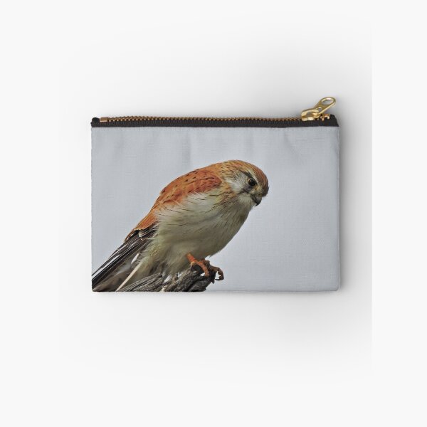 Item preview, Nankeen Kestrel designed and sold by DiDee74.