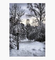 Narnia Photographic Print