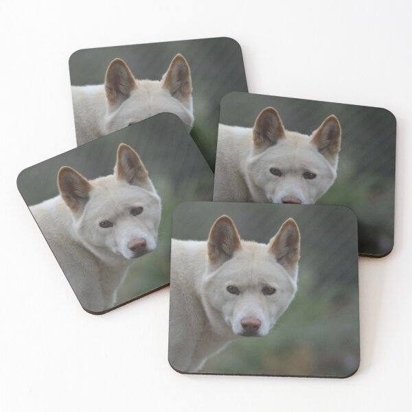 Item preview, Dingo designed and sold by DiDee74.