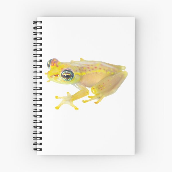 Item preview, Boophis bottae designed and sold by Mark D. Scherz.