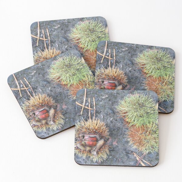 Item preview, Chestnut Burrs (Castanea) designed and sold by lezvee.