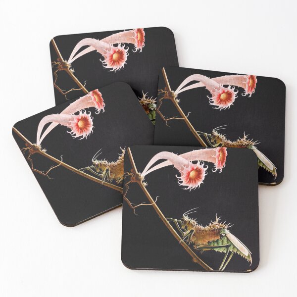 Item preview, Franz Sedlacek - Insect and Blossoms designed and sold by ArtExpression.