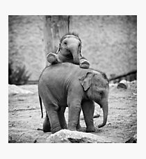 Elefun! Photographic Print