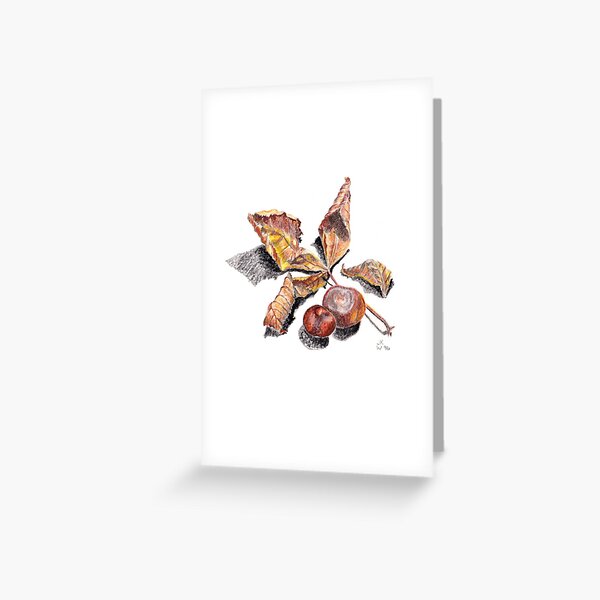 Horse Chestnut Leaf and Conkers Greeting Card