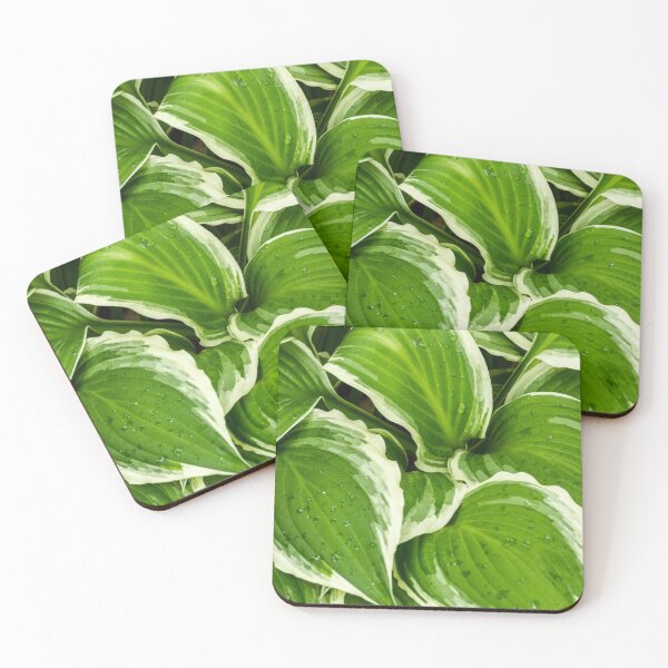 Item preview, Hosta Leaves In The Rain 1 designed and sold by Robert Alsop.