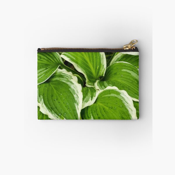 Item preview, Hosta Leaves In The Rain 1 designed and sold by Robert Alsop.