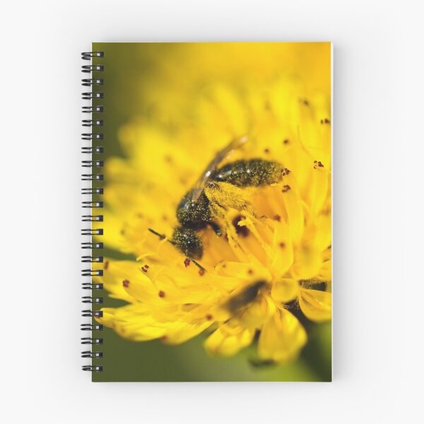 Item preview, Coated in Pollen designed and sold by Philip Alexander.
