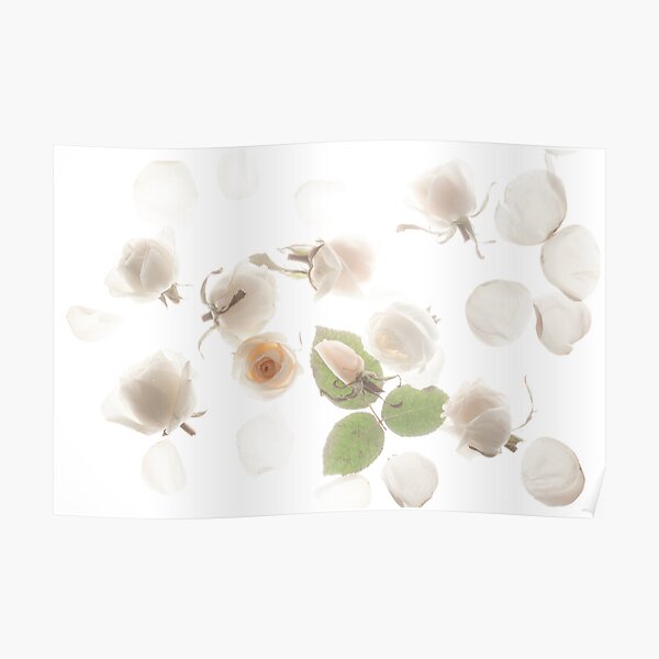 Little White Fishes Poster