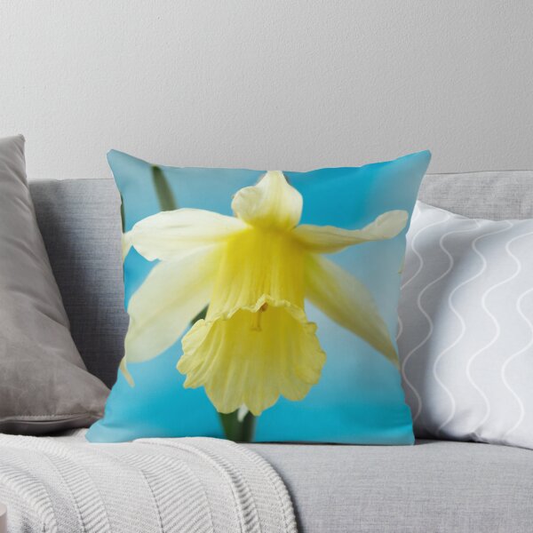 Item preview, Narcissus  'W.P. Milner'   Division 1  Trumpet  Daffodil  designed and sold by Chris Burrows.