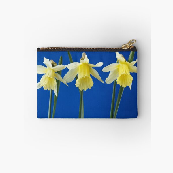 Item preview, Narcissus  'W.P. Milner'   Division 1  Trumpet  Daffodil  designed and sold by Chris Burrows.