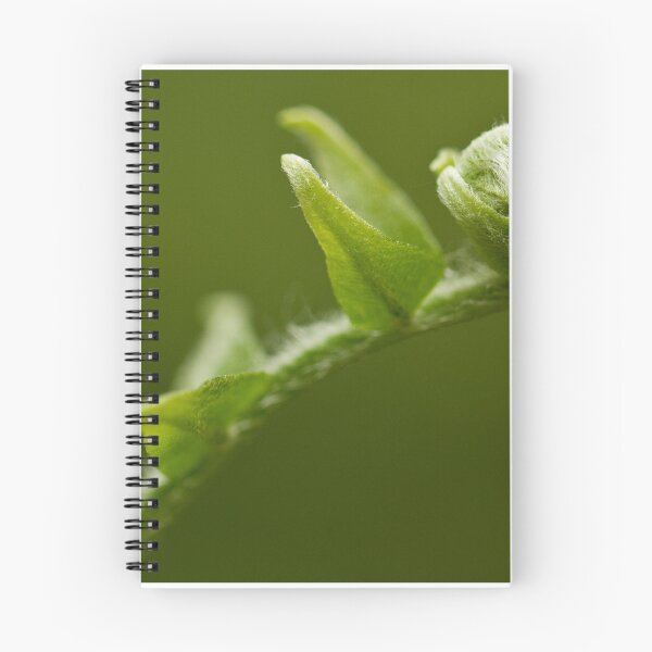 Item preview, The Unfurling Frond designed and sold by Philip Alexander.