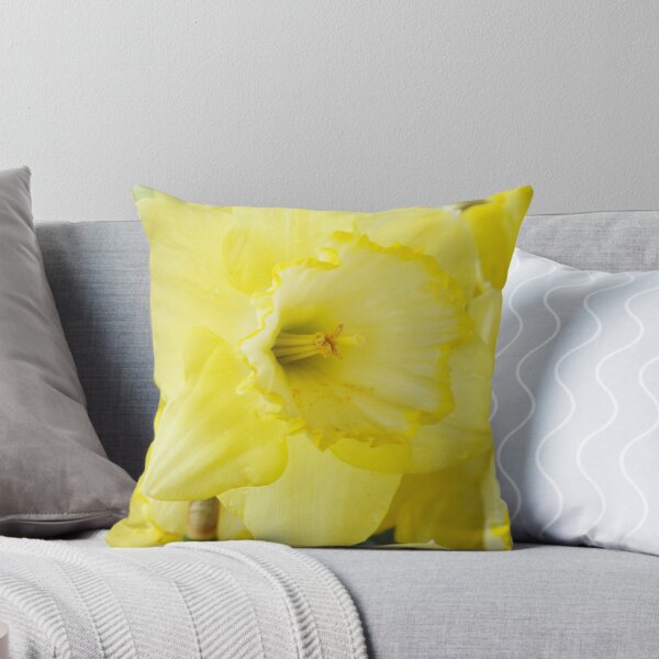 Item preview, Narcissus  'Saint Patrick's Day'   Division 2 Large-cupped Daffodil  designed and sold by Chris Burrows.