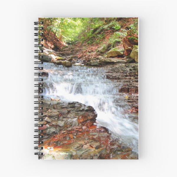 Aperçu de l'œuvre Mountain Stream créée et vendue par Redrose10.