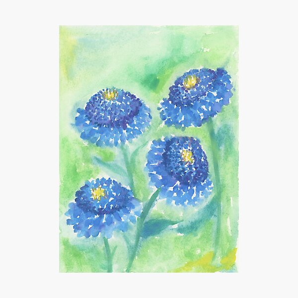 Blue Fowers Photographic Print
