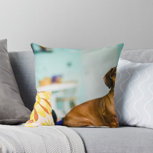 Item preview, Coby designed and sold by DeniseLives.