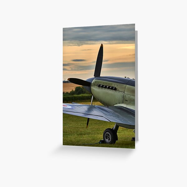 Item preview, Seafire designed and sold by Richard Allen.