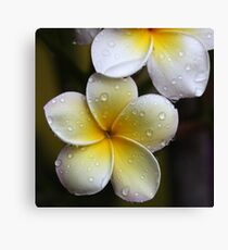 plenitude Canvas Print