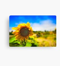 You Are So Beautiful To Me Canvas Print