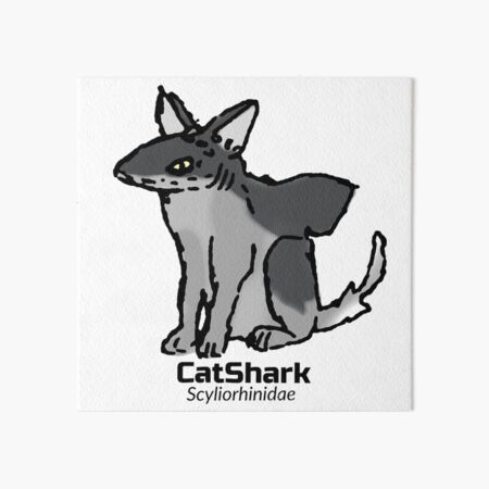 Cat Master Ninja Shark Attack Funny Photographic Print for Sale by  ZanLepotan